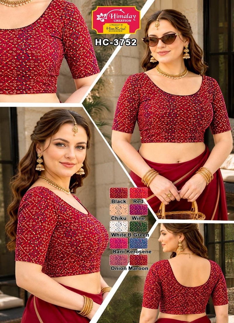 Hc 3752 Crush With Hand Embroidery Blouses